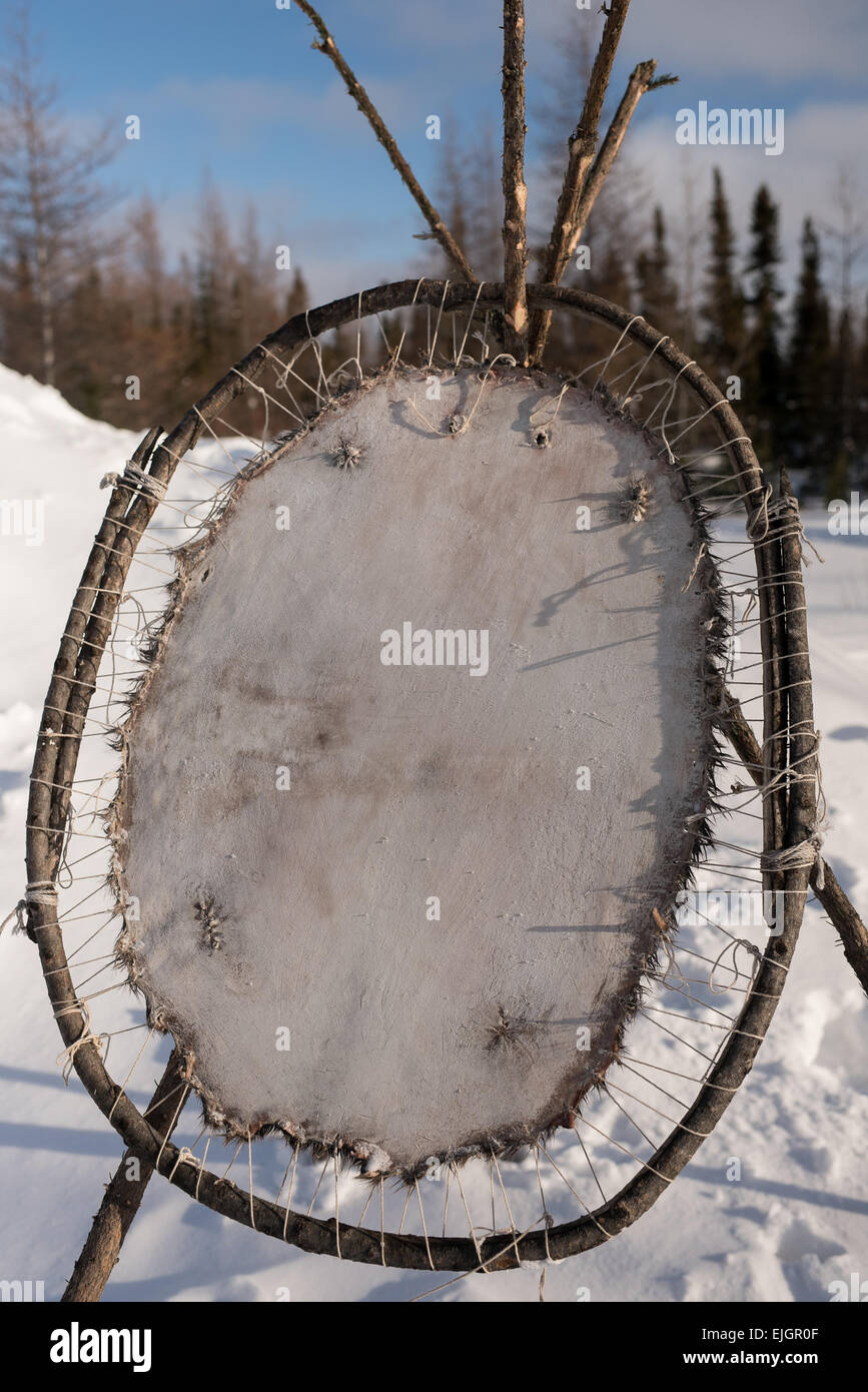 Biber Fell dehnen, Cree-Indianern, nördlichen James Bay-Quebec Stockfoto