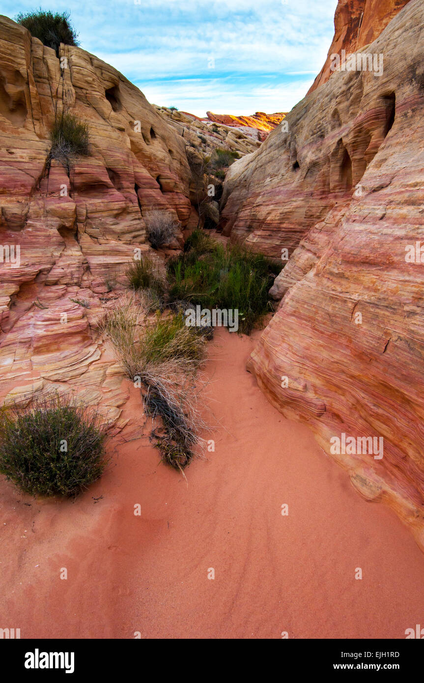 Bunten Sandstein-Waschanlagen - Valley Of Fire - Nevada Stockfoto