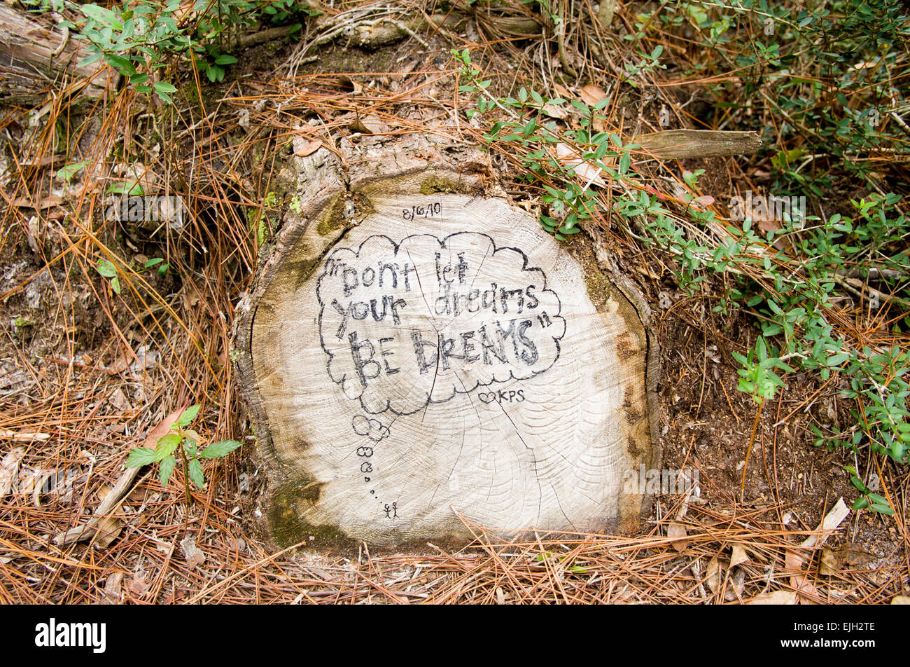 Graffiti-writing auf Baum Baumstumpf im Wald Stockfoto