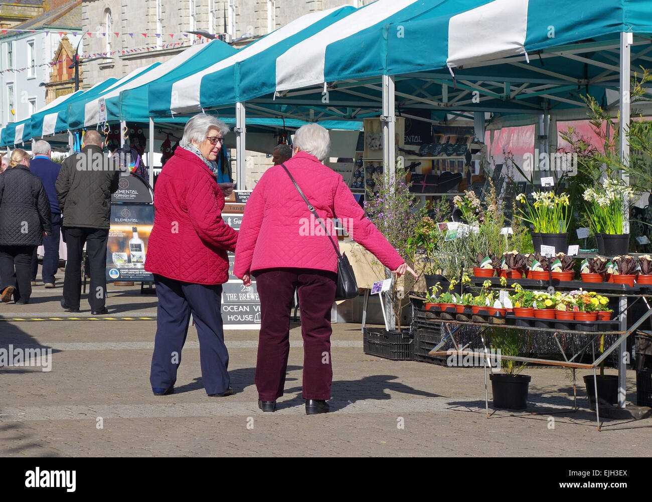 Zwei ältere Damen shopping für Pflanzen auf einem Bauernmarkt in Truro, Cornwall, UK Stockfoto