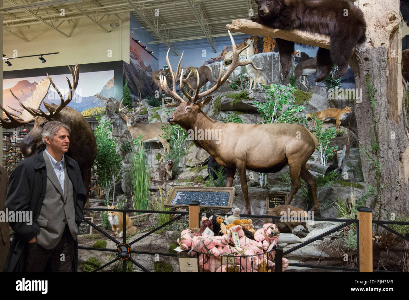 Troy, Michigan - ein Display Spiel Stofftiere auf dem Feld & Dampf im Freien lagern. Stockfoto