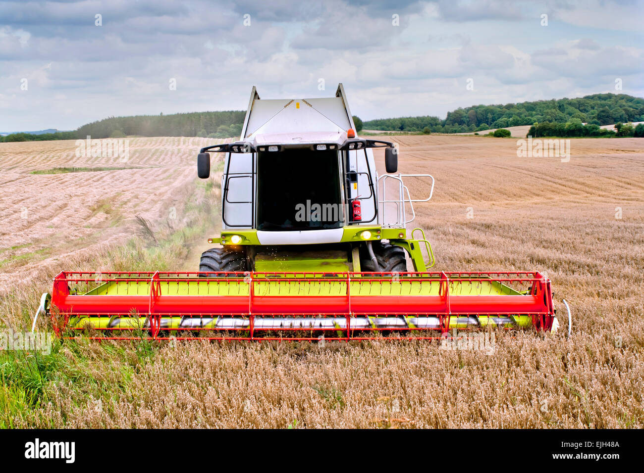 Kombinieren Sie Getreide ernten Stockfoto