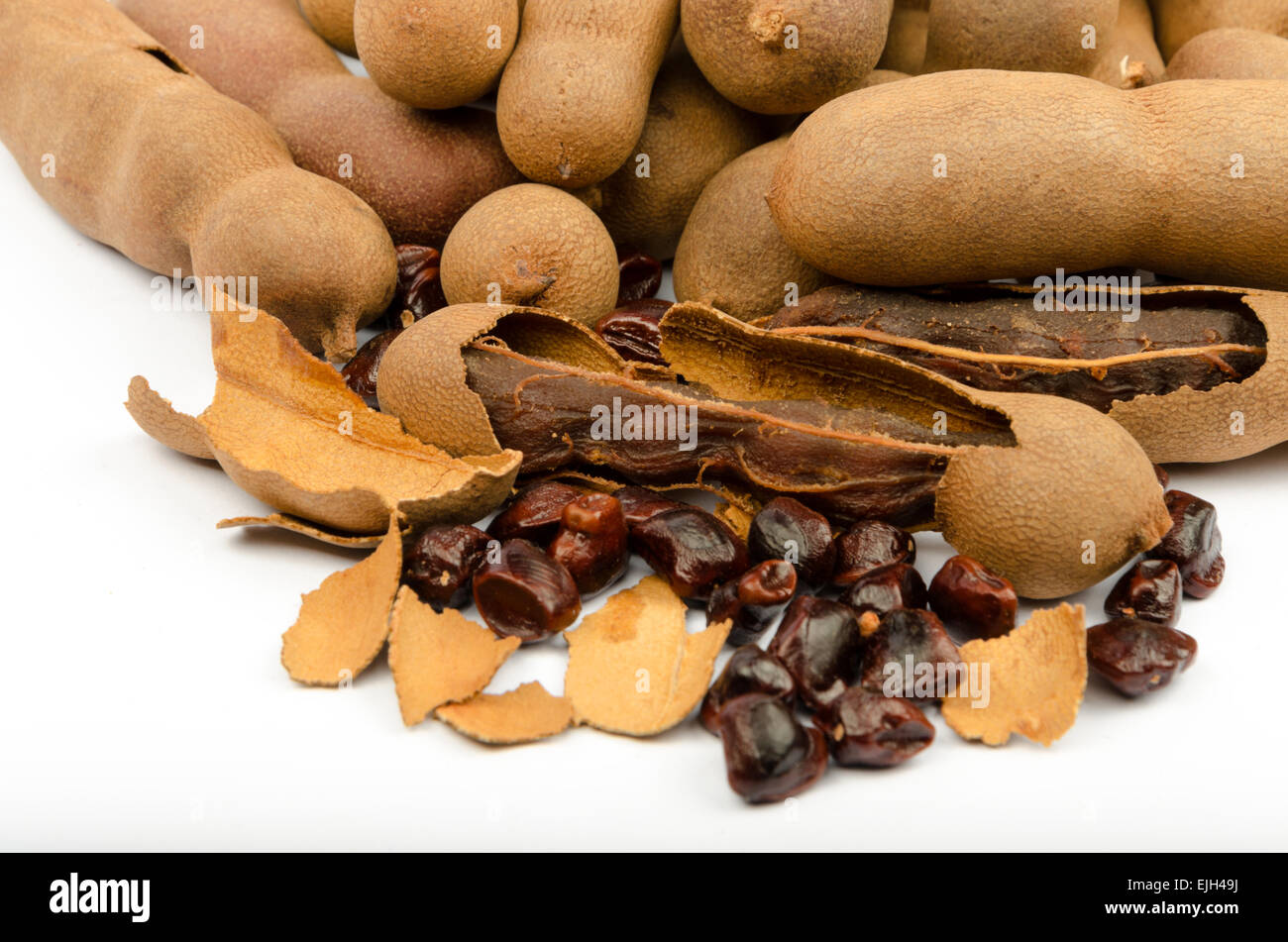 Tamarinde (Tamarindus Indica), beliebte Speisen von Südost-Asien, Nordafrika, Indien Stockfoto