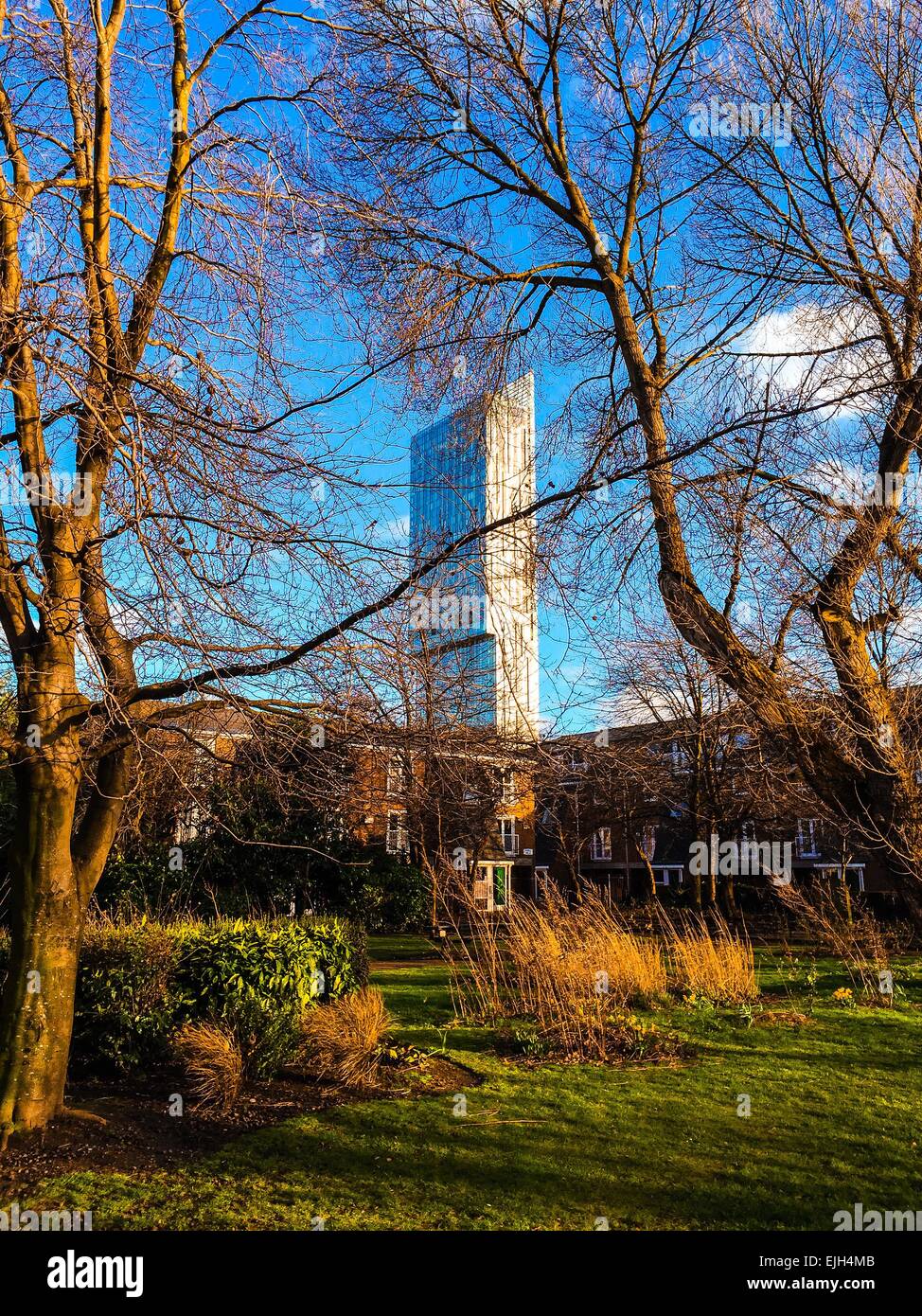 Ein Bild von Manchesters' Beetham Tower entnommen aus einem Park in der Nähe deansgate Stockfoto