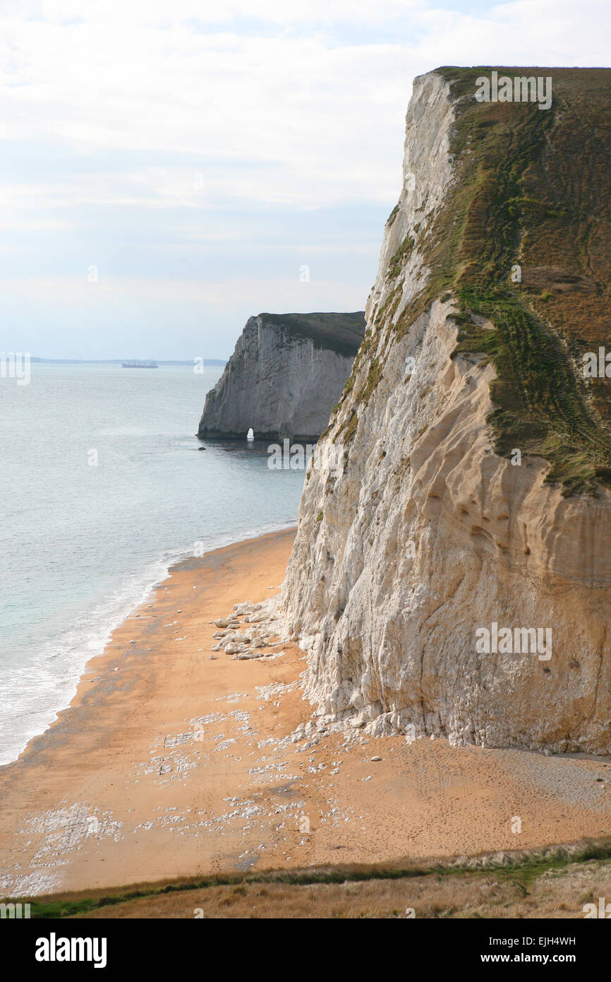 Fledermäuse-Kopf in der Nähe von Durdle Door, Jurassic Coast, UNESCO-Weltkulturerbe, Dorset, England, UK Stockfoto