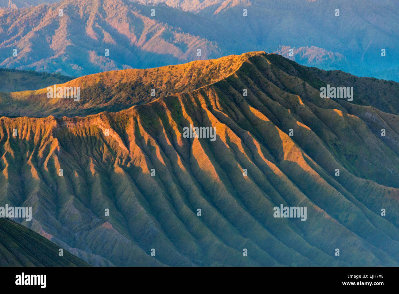 Textur der Berghang des Mount Bromo, Bromo Tengger Semeru Nationalpark, Ost-Java, Indonesien Stockfoto