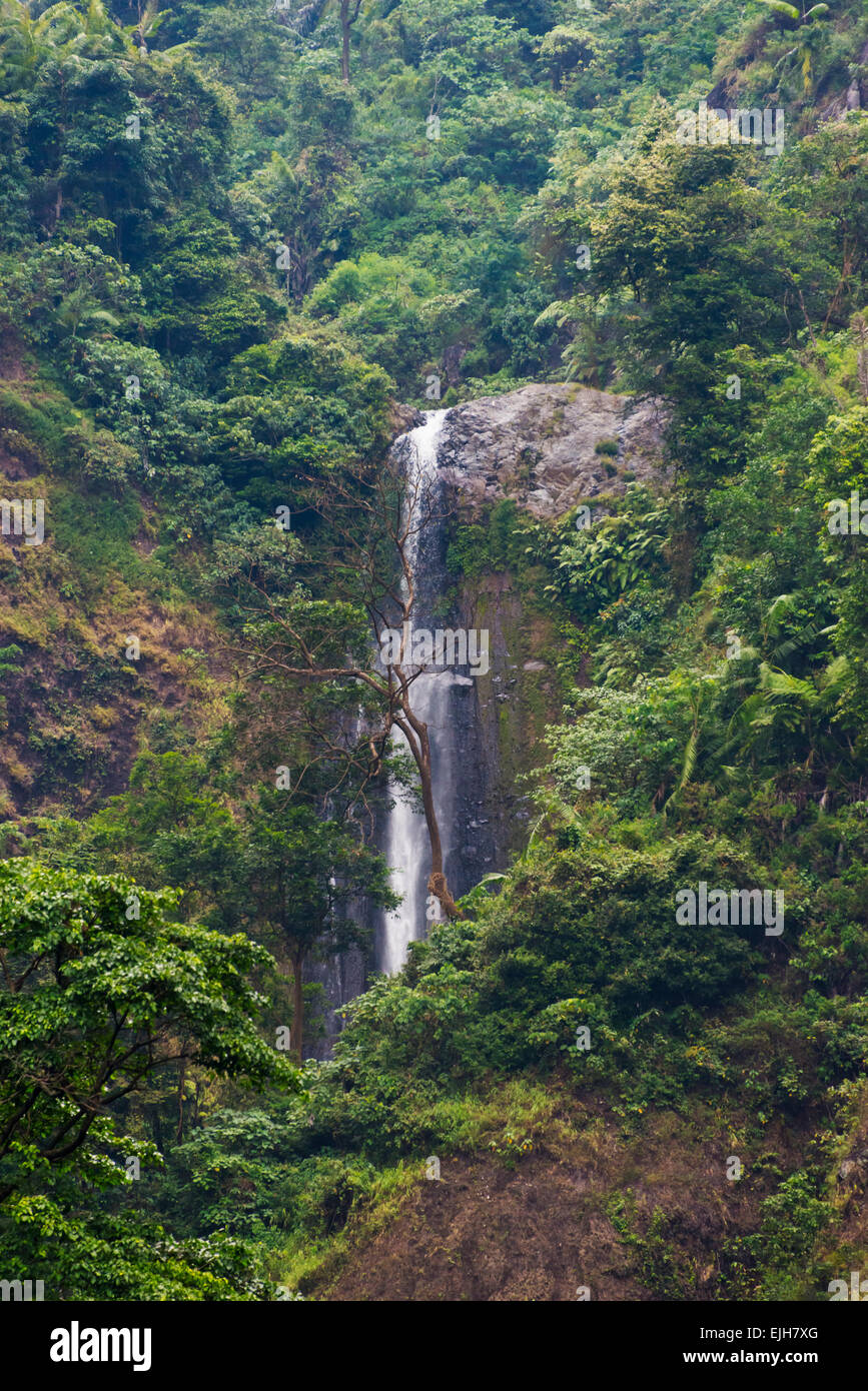 Madakaripura Wasserfall, Ost-Java, Indonesien Stockfoto