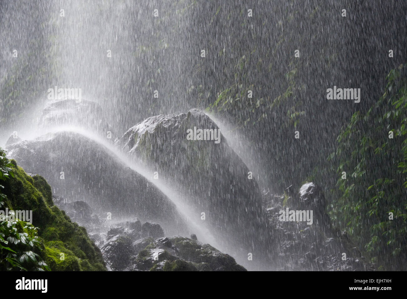 Madakaripura Wasserfall, Ost-Java, Indonesien Stockfoto