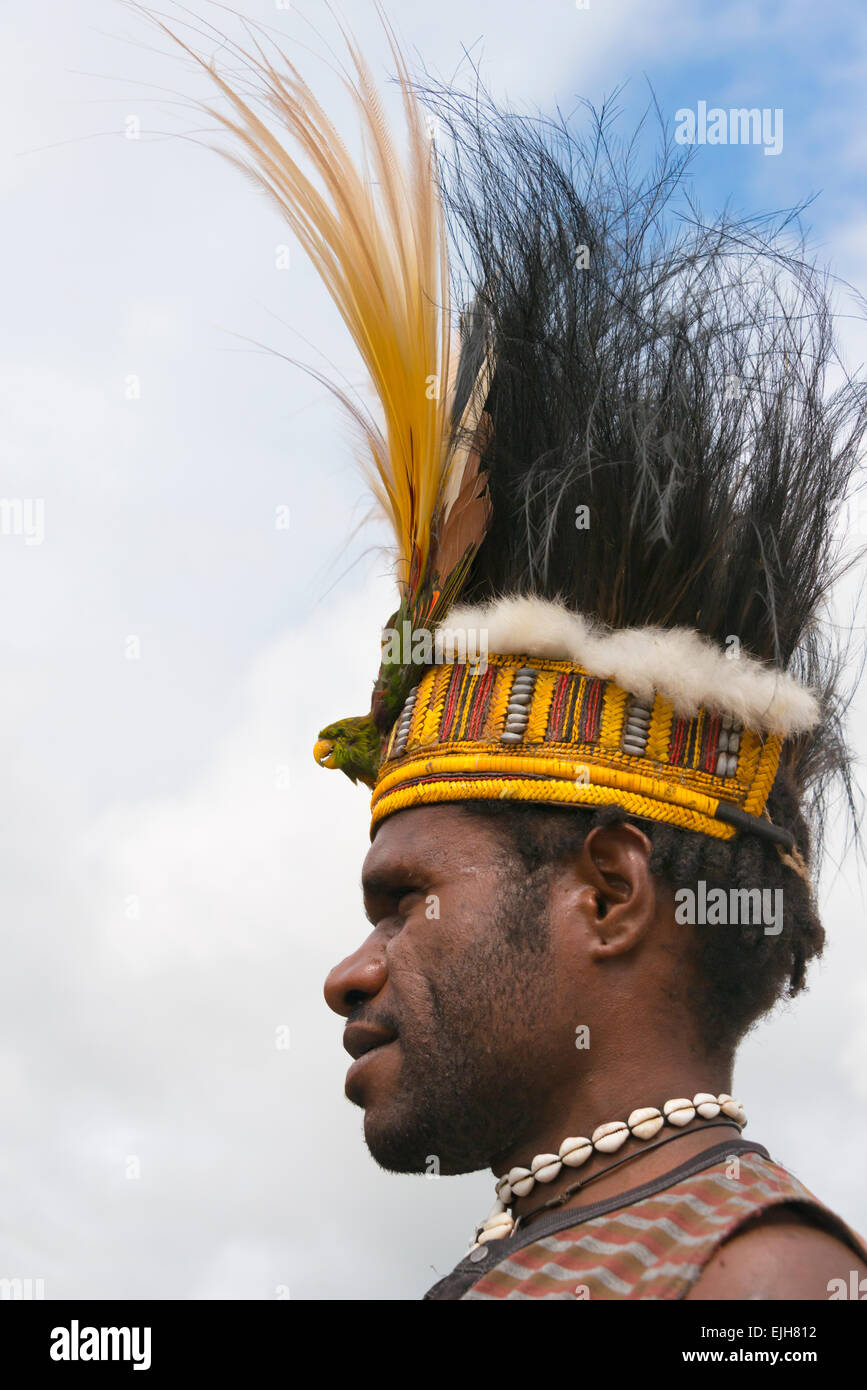 Dani-Mann mit Feder Kopfschmuck, Wamena, Papua, Indonesien Stockfoto