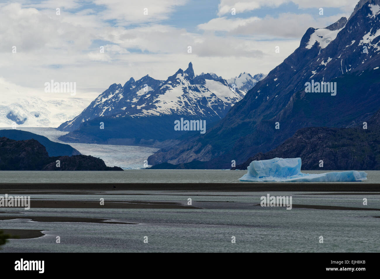 Starke Winde drücken Sie die blaue Eisberge, die hervorgebracht wurden, das Gesicht von den Grey Gletscher (links im Hintergrund) Stockfoto