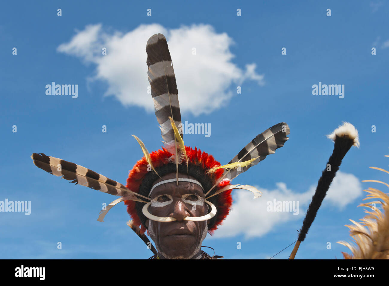 Dani-Mann im Baliem Tal Festival, Wamena, Papua, Indonesien Stockfoto