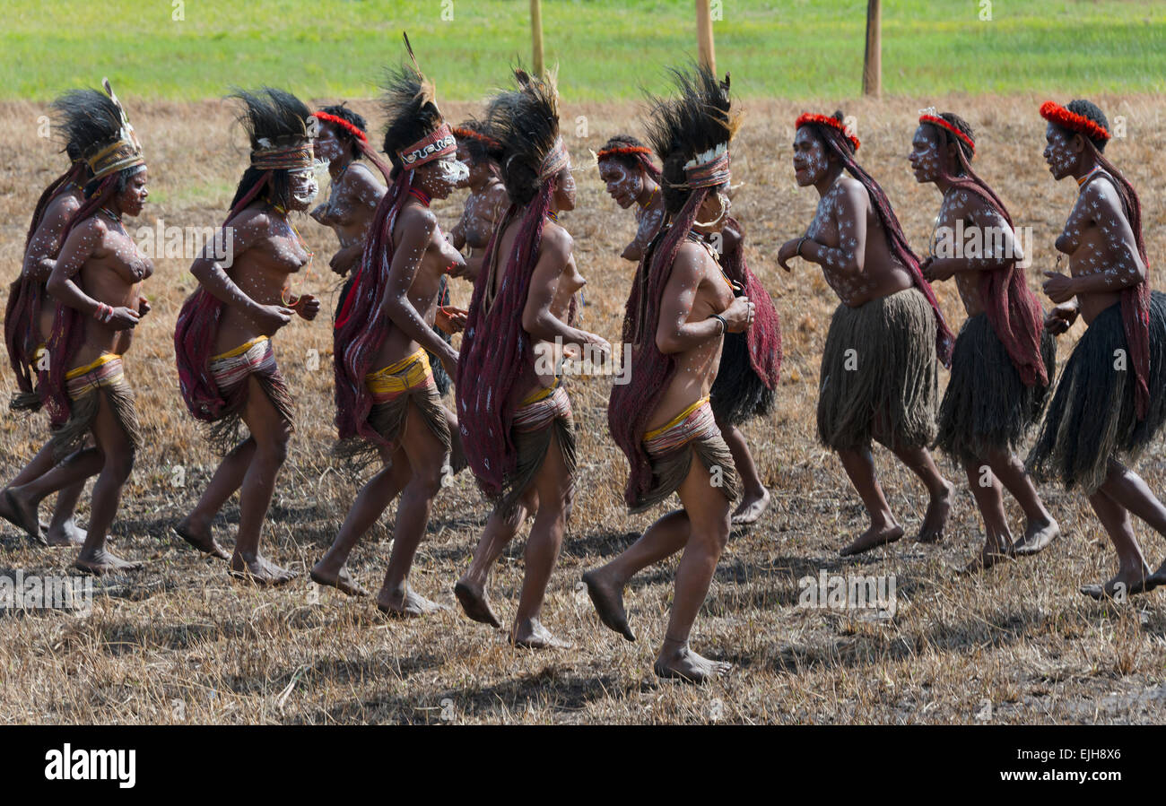 Dani-Frauen im Baliem Tal Festival, Wamena, Papua, Indonesien Stockfoto