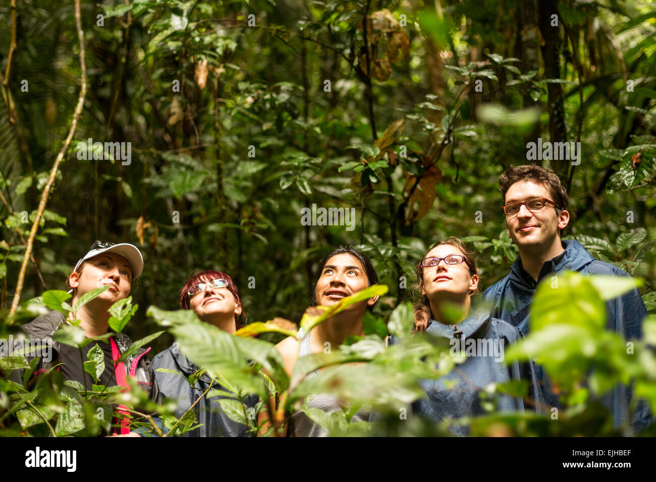 Gruppe von Touristen im ecuadorianischen Dschungel auf der Suche nach tierischen In Cuyabeno Wildlife Reserve Sucumbios Ecuador Stockfoto