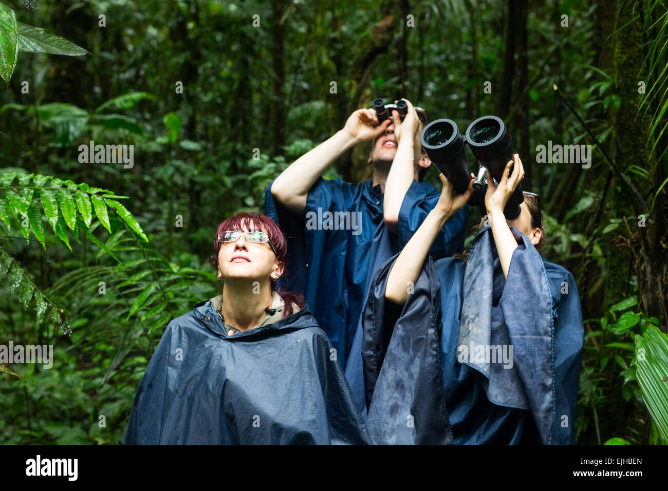 Sind eine Gruppe von Touristen auf der Suche nach Tieren in den Dschungel Regen Ponchos und Power Fernglas ein Muss Stockfoto
