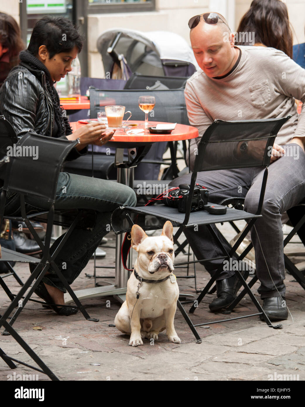 Touristen mit Hund in Straßencafé in Paris, Frankreich Stockfoto