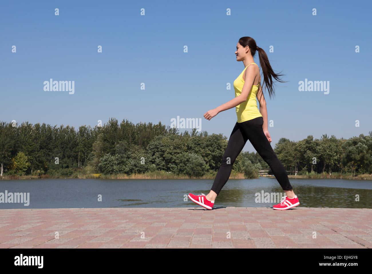 Junge Frau trainieren in Park Stockfoto