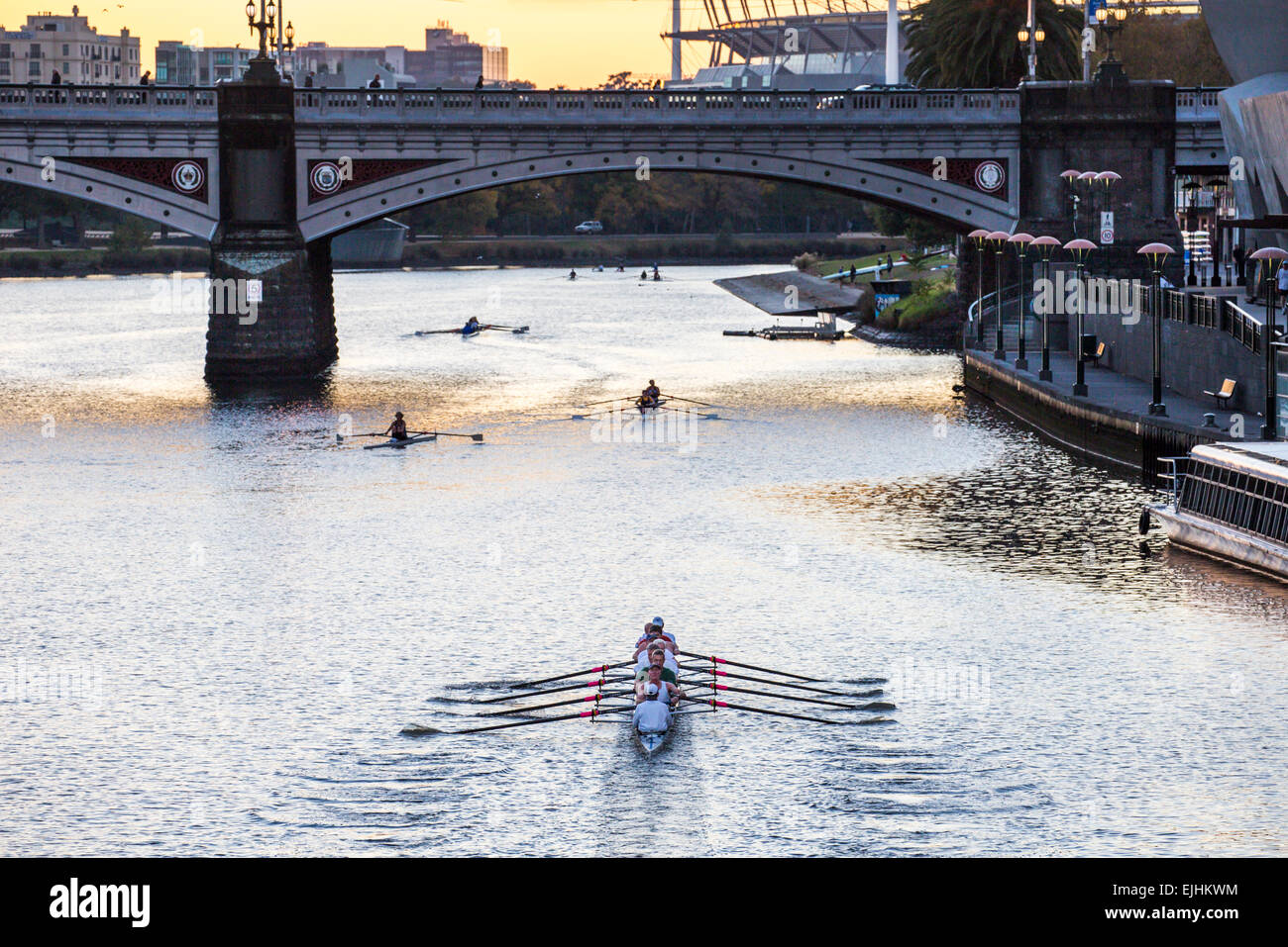 Ewern am Yarra River, Melbourne, Australien Stockfoto