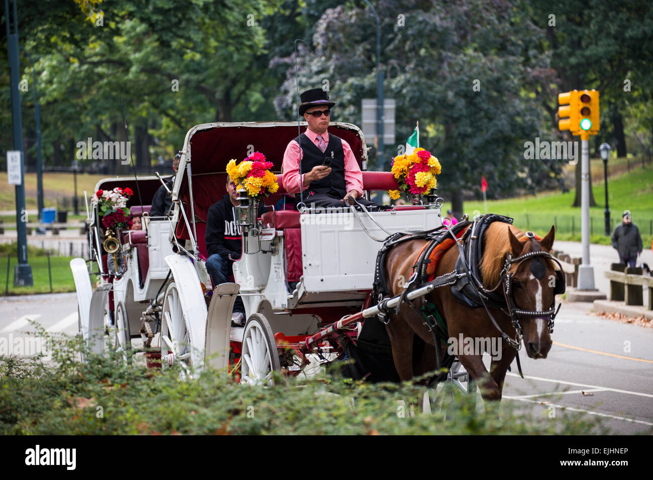 Pferd und Kutsche fahren im Central Park, New York, USA Stockfoto