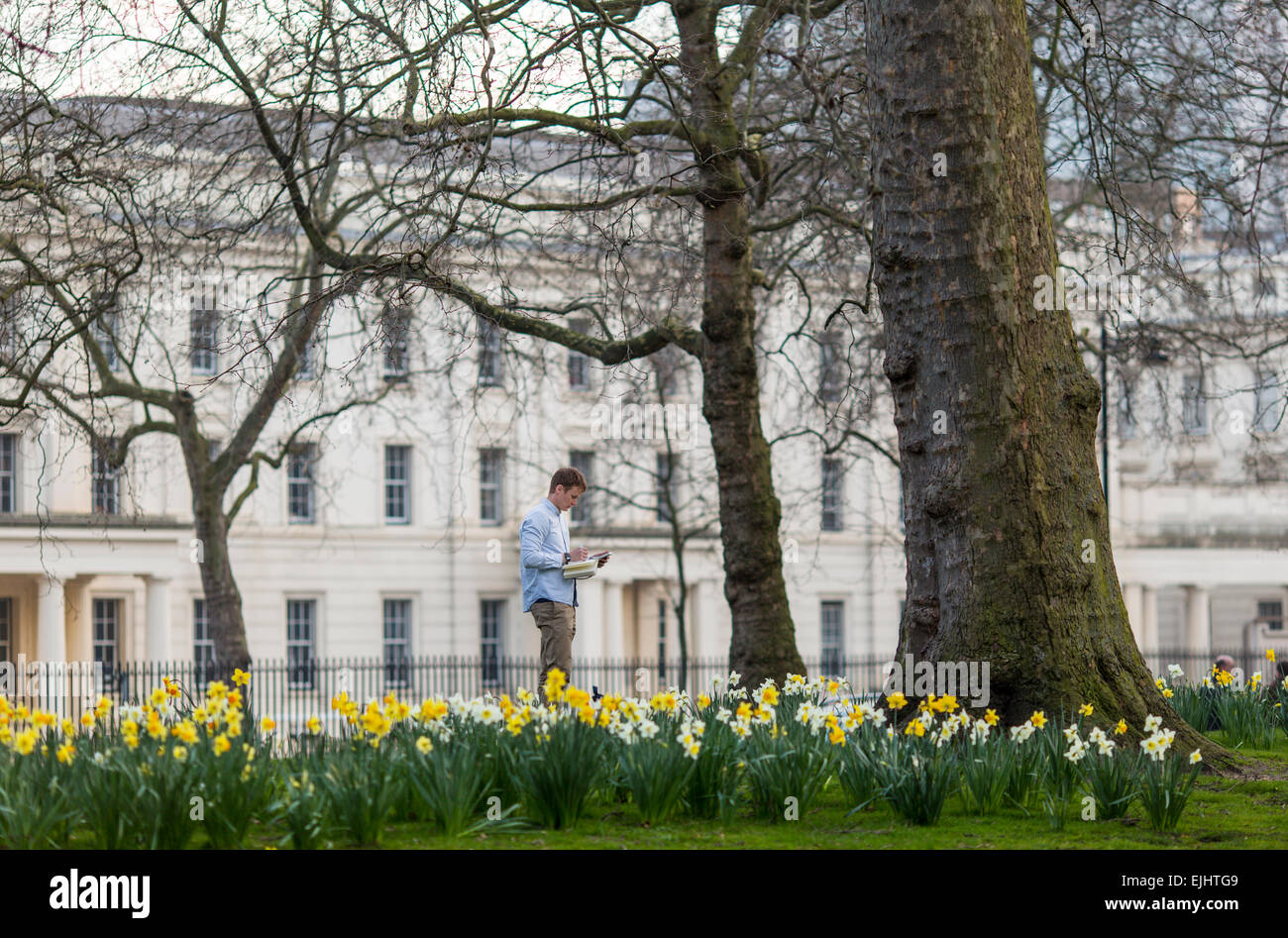 Künstler Skizzieren Narzissen im St. James Park, London, England Stockfoto
