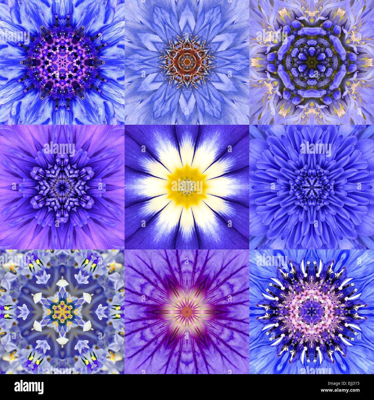 Sammlung von neun konzentrischen blaue Blume Mandalas. Kaleidoskop konzentrischen Design. Voller Blüte Hintergrund Stockfoto