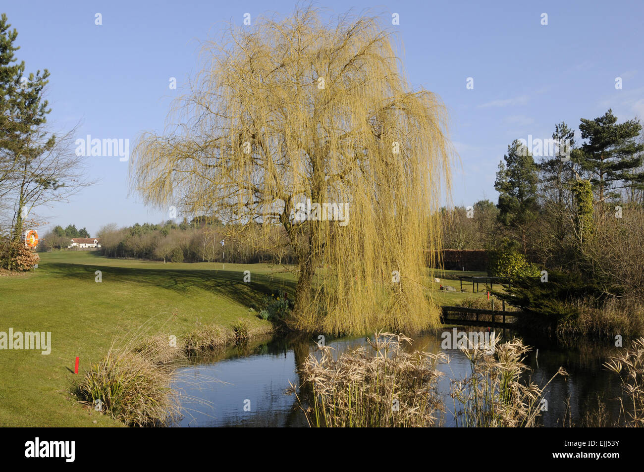 Blick über den großen Teich auf das 18. Grün an Toot Hill Golf Club Ongar Essex England Stockfoto