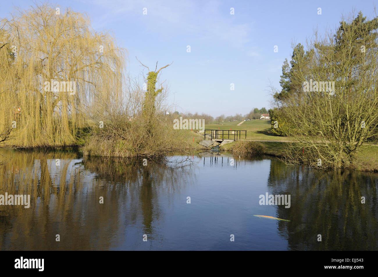 Blick über den großen Teich auf das 18. Grün an Toot Hill Golf Club Ongar Essex England Stockfoto