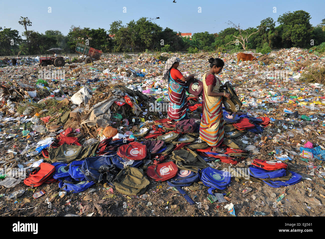 The Rubbish Meaning In Tamil at David Burke blog