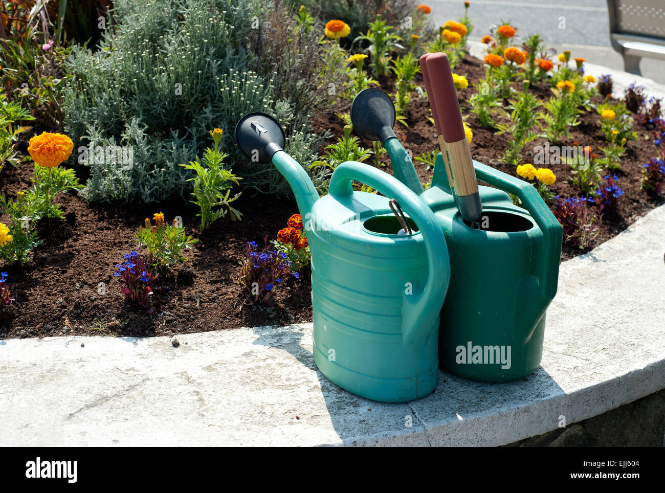 Zwei Gießkannen an einem heißen sonnigen Tag im Garten Stockfoto