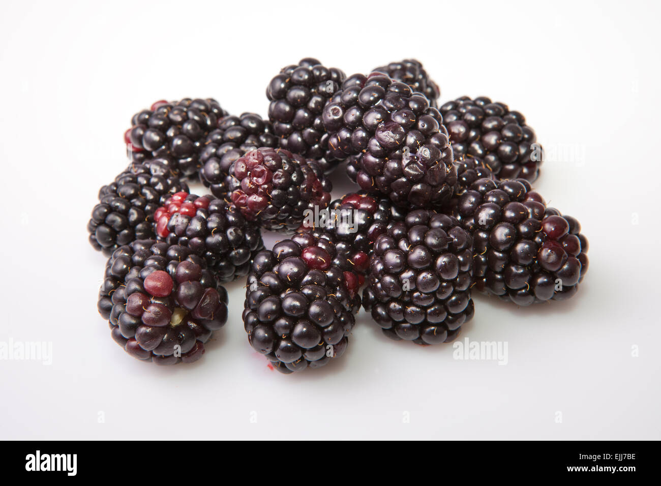 Haufen von frischen reifen Brombeeren. Isoliert auf weißem Hintergrund Stockfoto