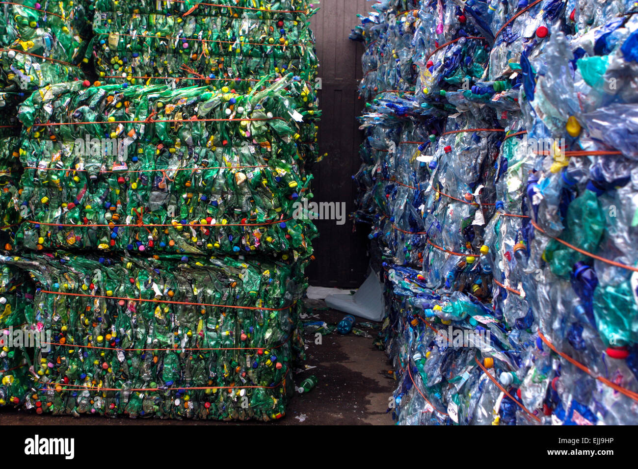 Abgeflachte Plastikflaschen für Recycling Stockfoto