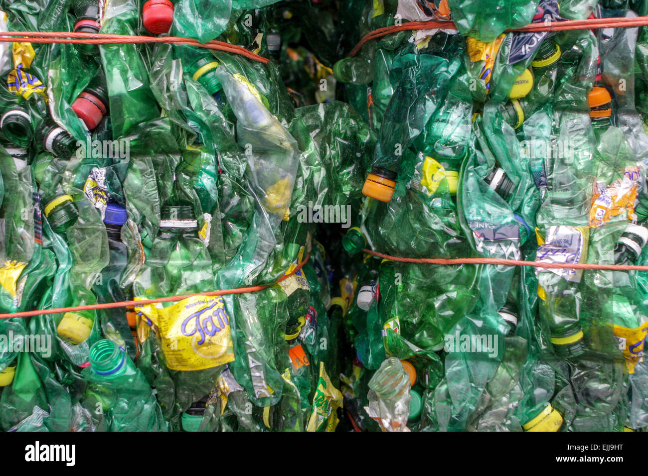 Abgeflachte Kunststoffflaschen zum Recycling von Kunststoffabfällen Stockfoto