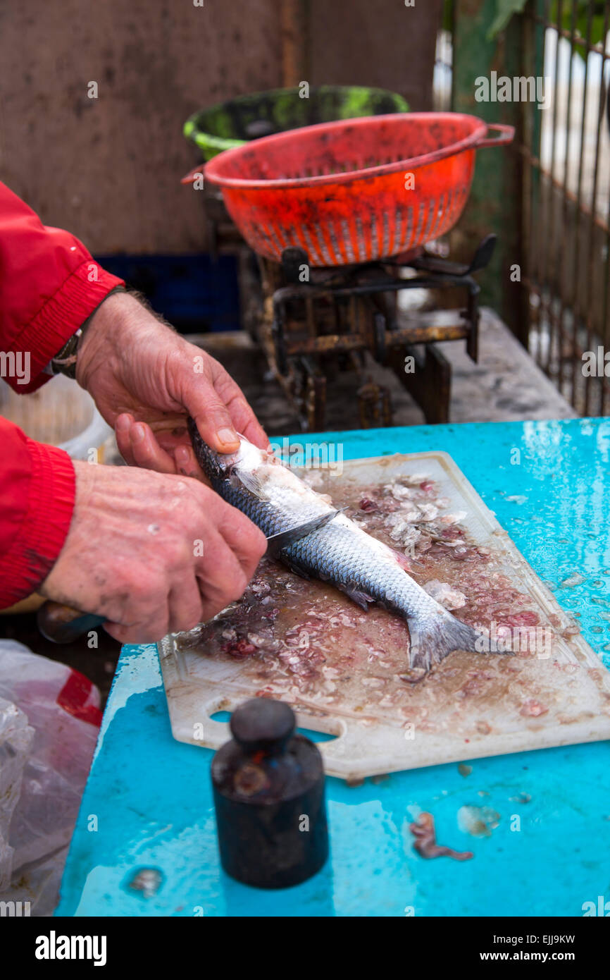 Closeup Fischer übergibt der frischer Seebarsch Fisch auf ein Stück Holz unter freiem Himmel am Fischmarkt Reinigung Stockfoto