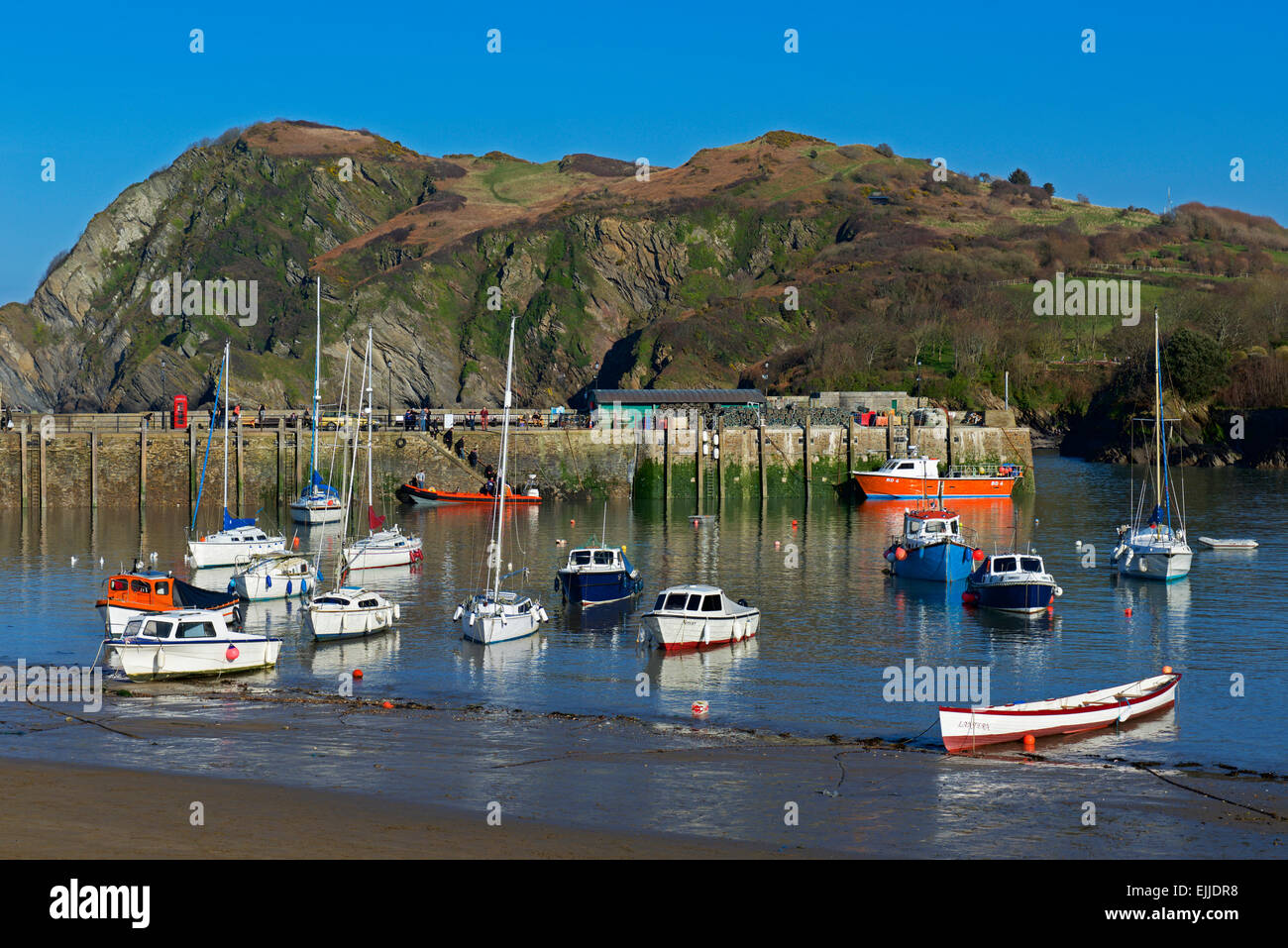 Boote im Hafen, Ilfracombe, Devon, England UK Stockfoto