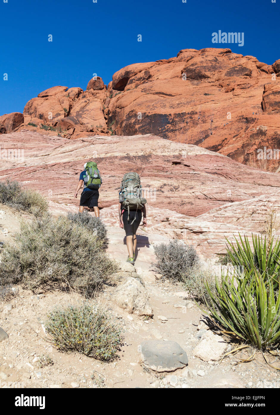 Kletterer Wandern mit Getriebe am Red Rock Canyon National Conservation Area, ungefähr 20 Meilen von Las Vegas; Kletterer in Ferne Stockfoto