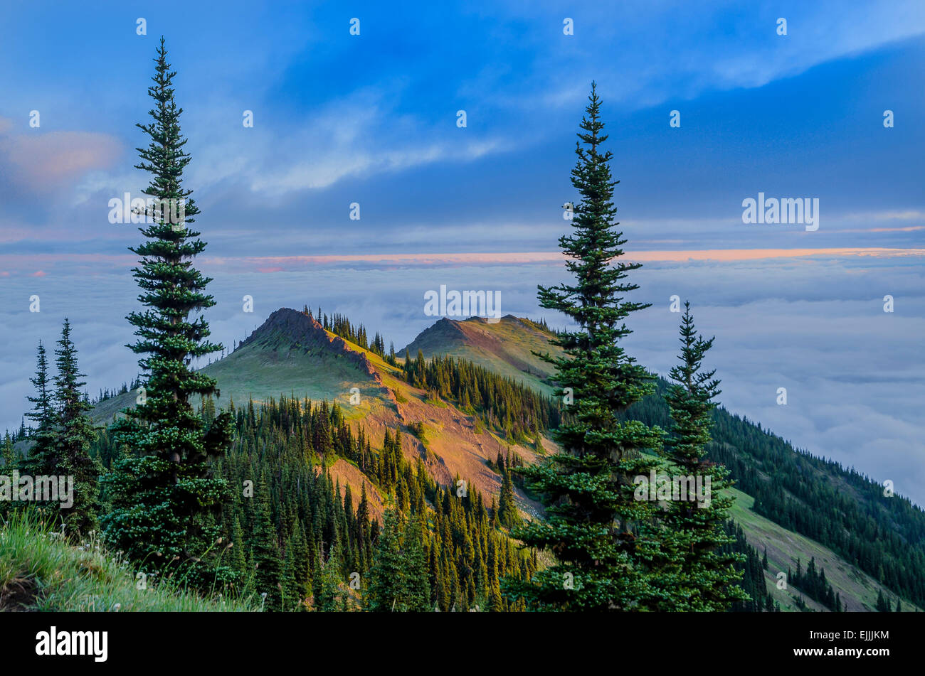 Olympic Nationalpark, Washington, USA Stockfoto