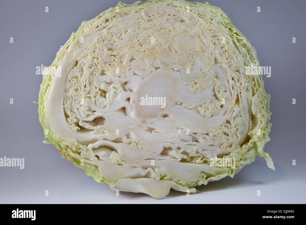 Die Hälfte der ein Kohlkopf auf grauem Hintergrund isoliert Stockfoto