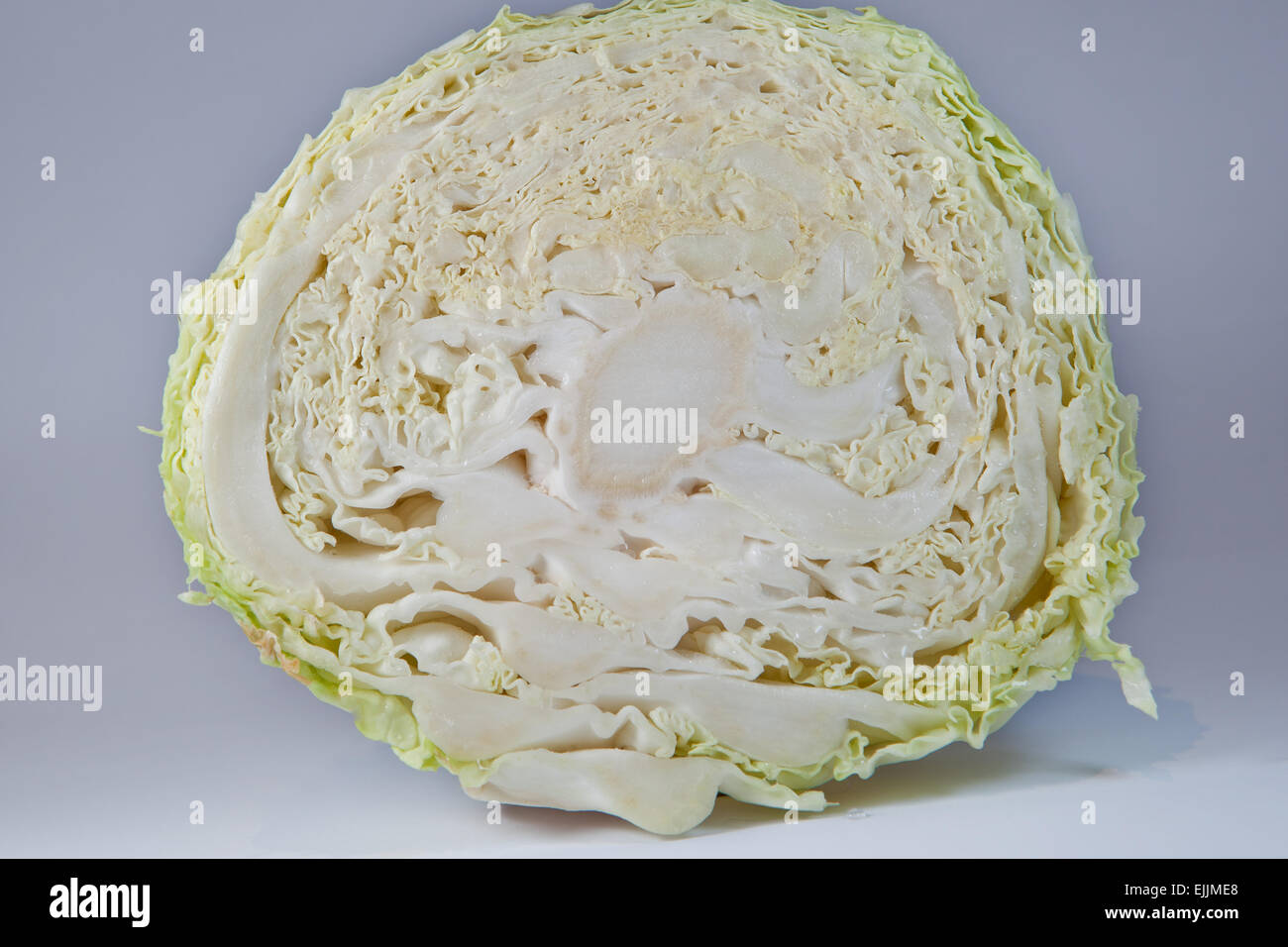 Die Hälfte der ein Kohlkopf auf grauem Hintergrund isoliert Stockfoto