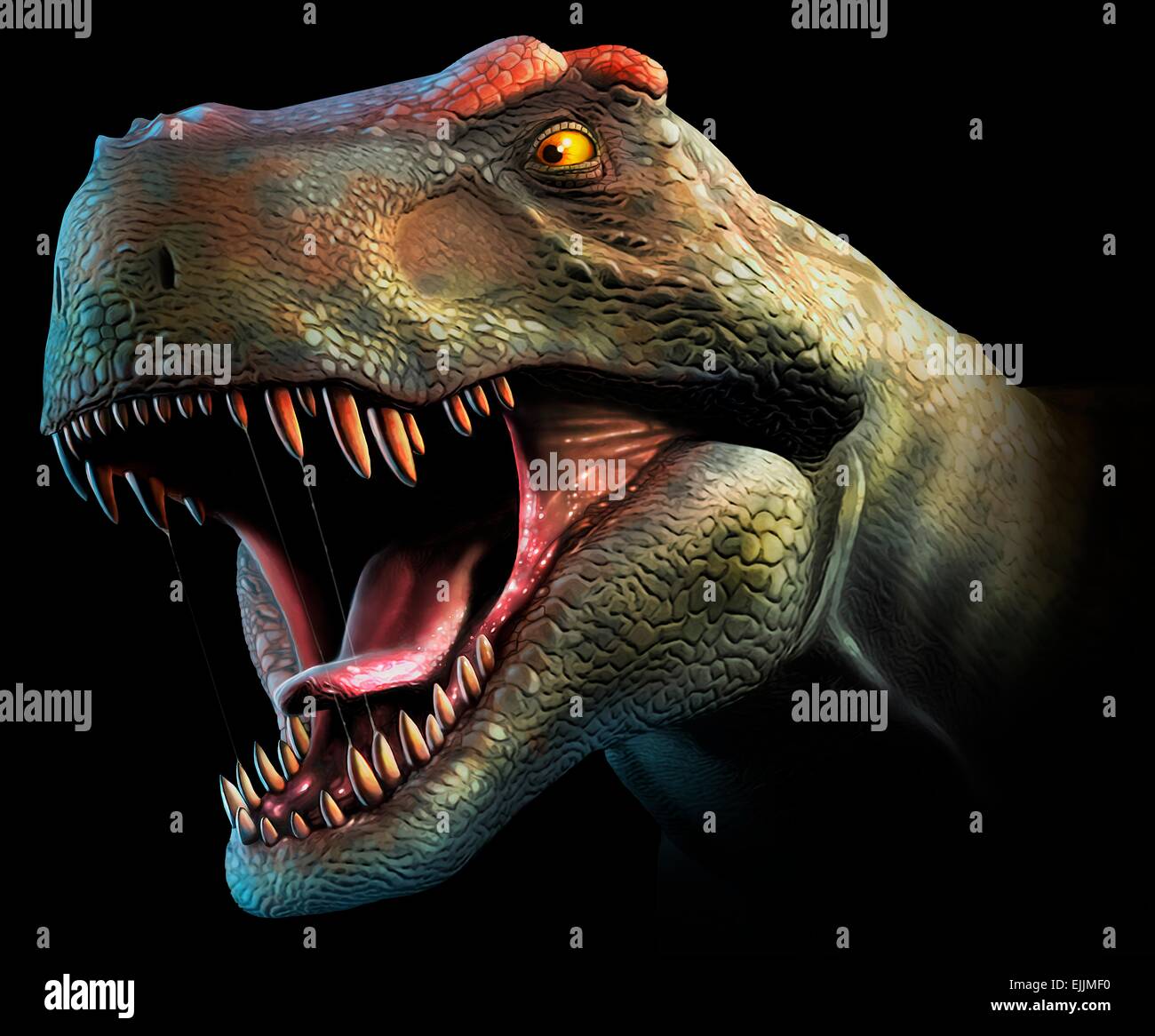 Tyrannosaurus Rex-Kopf zu studieren. Dieser Dinosaurier lebte von bis vor etwa 70 Millionen Jahren in Nordamerika und Asien die Stockfoto