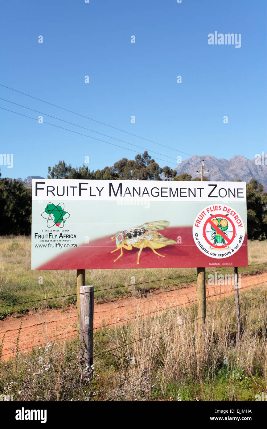 Fruchtfliege Warnung Zeichen, Tulbagh, Western Cape, Südafrika. Stockfoto