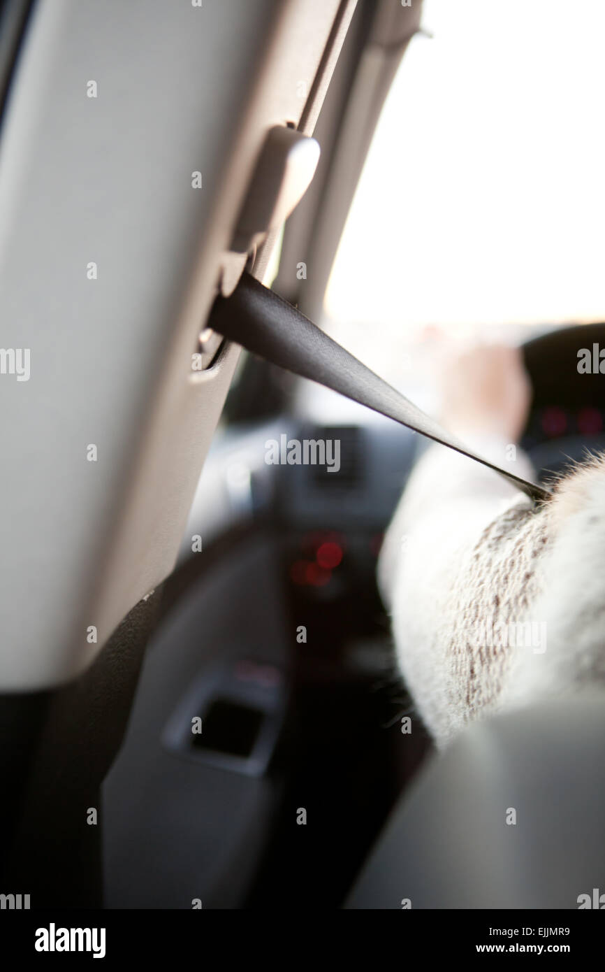 Fahrer sitzen im Auto mit Sicherheitsgurt auf Stockfoto