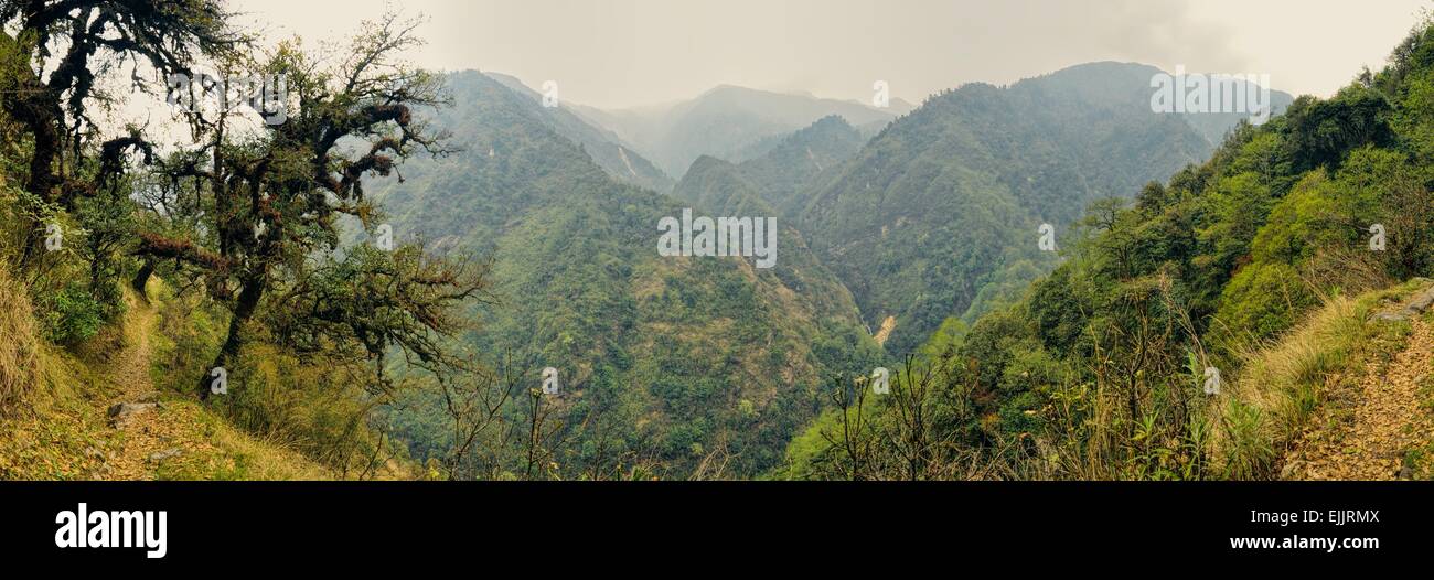 Malerische Panorama der tiefgrünen Tal in Nepal auf Kanchenjunga Trekking Tour Stockfoto