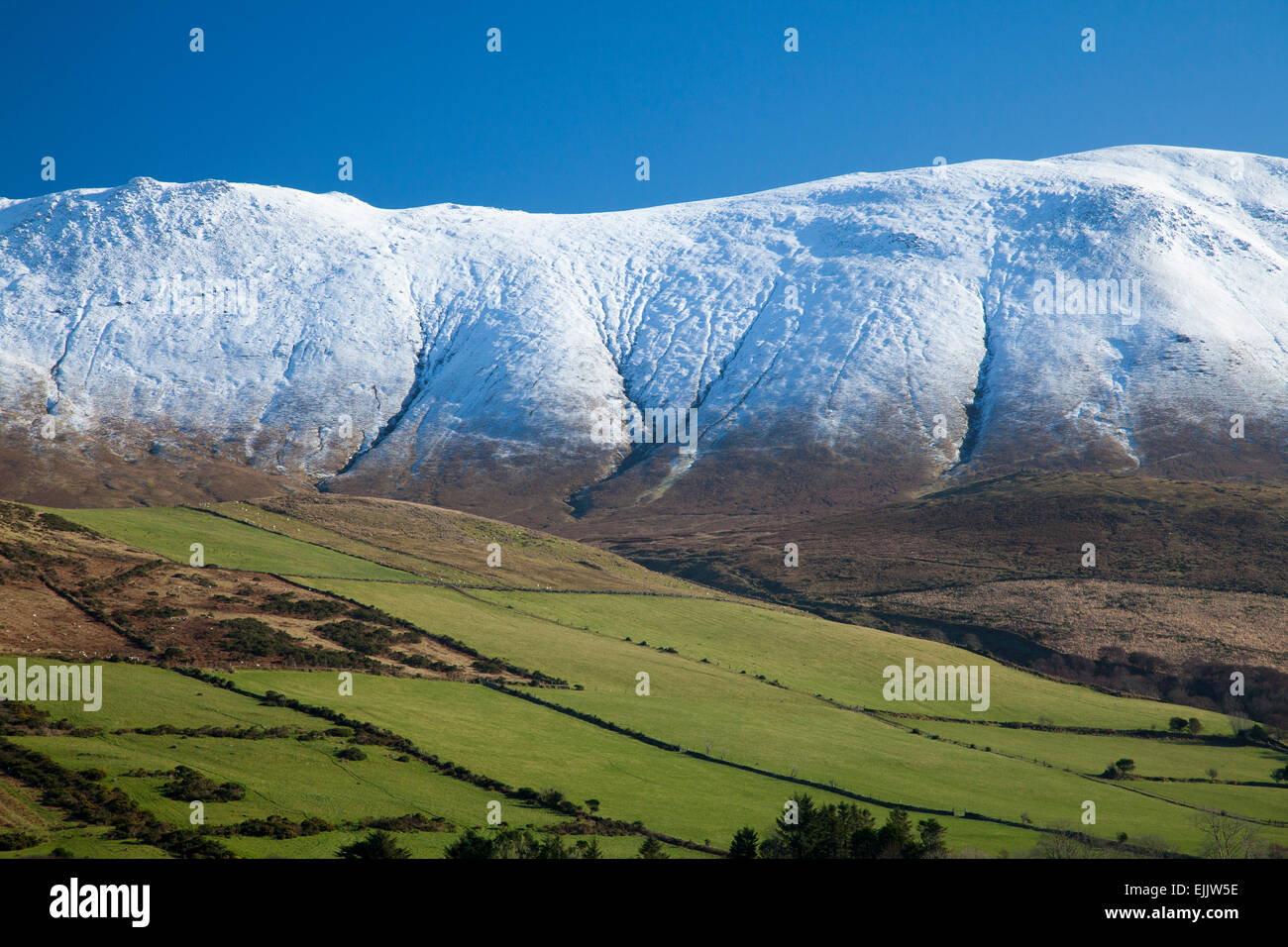 Caherconree Berge im Winter, Slieve Mish Mountains, der Halbinsel Dingle in der Grafschaft Kerry, Irland. Stockfoto