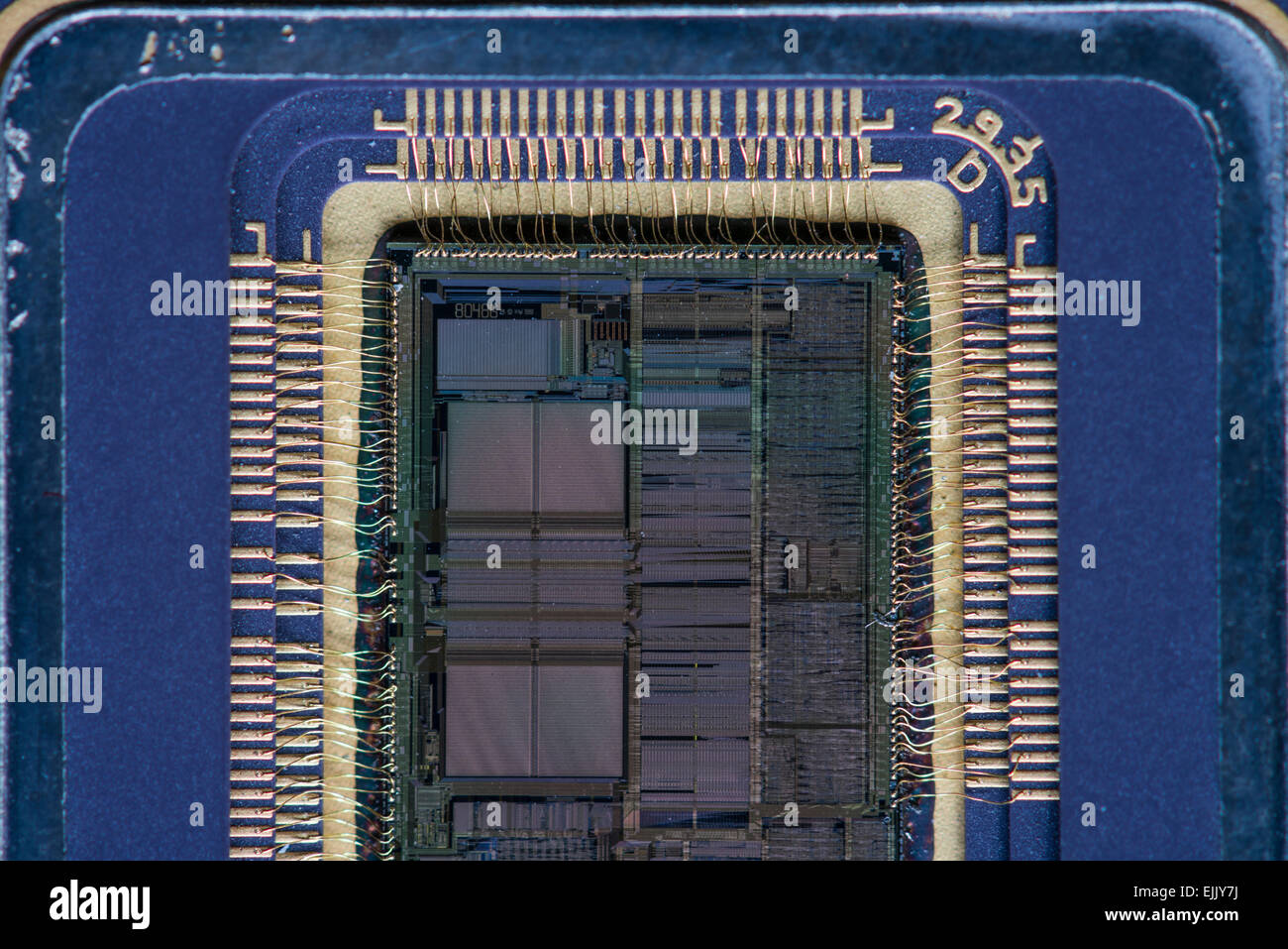 Nahaufnahme von einem geöffneten Intel 80486DX (i486) Mikroprozessor, eine der beliebtesten CPUs für PCs in den 90er Jahren. Stockfoto
