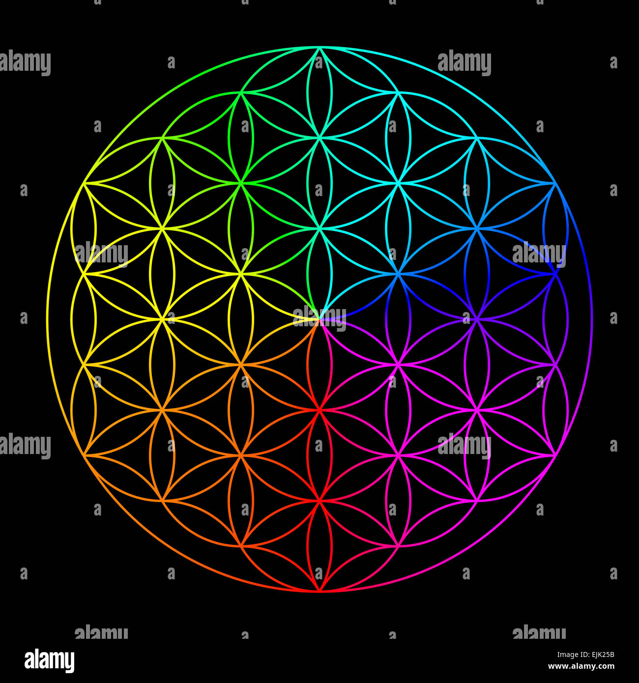Regenbogenblume des Lebens - Symbol der Heiligen Geometrie Stockfoto
