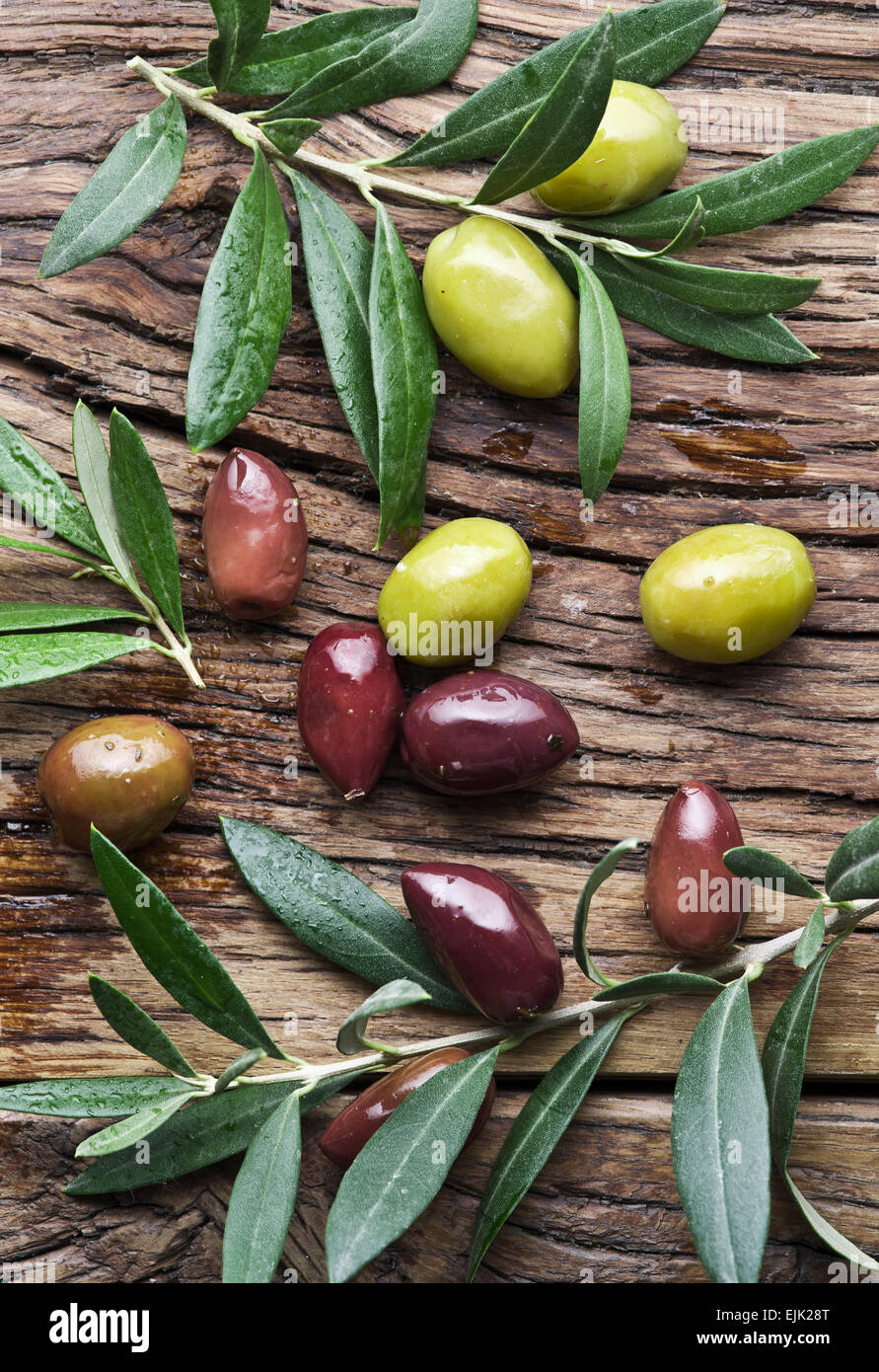 Oliven und Olivenöl Zweige auf Holztisch. Stockfoto