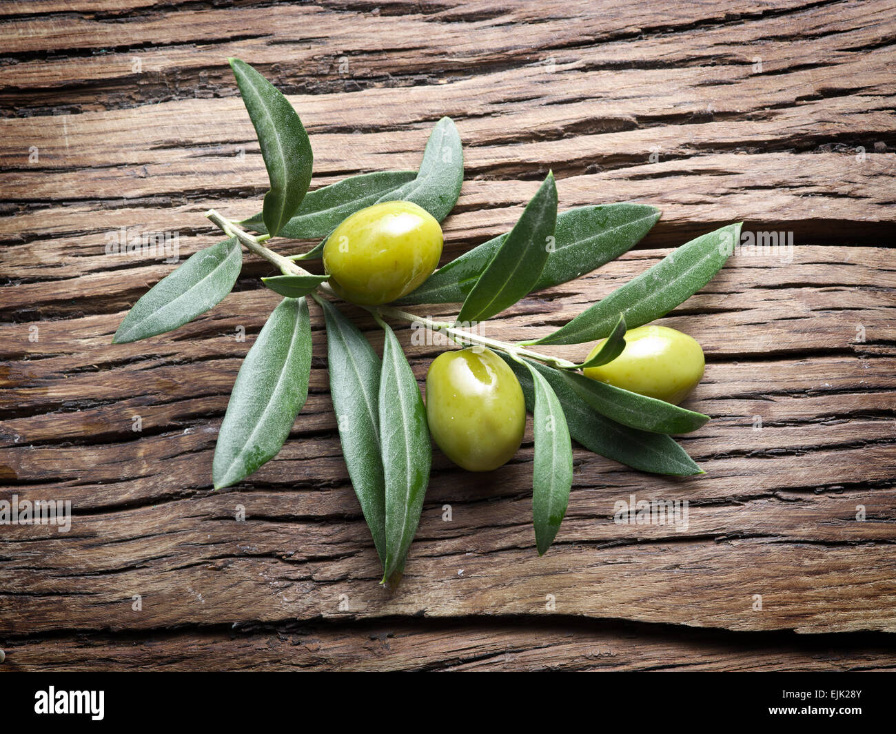 Olive Zweige auf alten Holztisch. Stockfoto