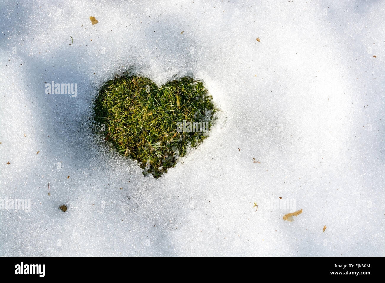 Schneeschmelze in Form von ein Herz Frühling Konzept Hintergrund kalten Klima Liebesbeziehungen. Schweden. Stockfoto