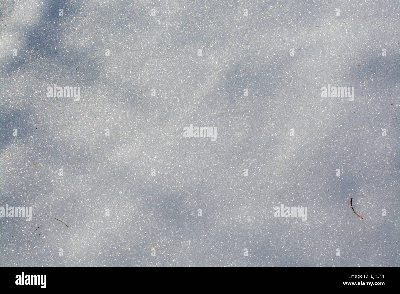 Schneeschmelze Hintergrund Frühling. Stockfoto