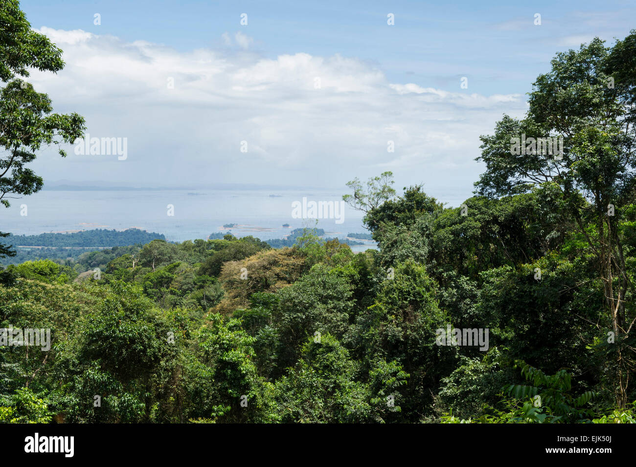 Blick über den Regenwald und Brokopondo Vorratsbehälter, Brownsberg Naturreservat, Suriname Stockfoto