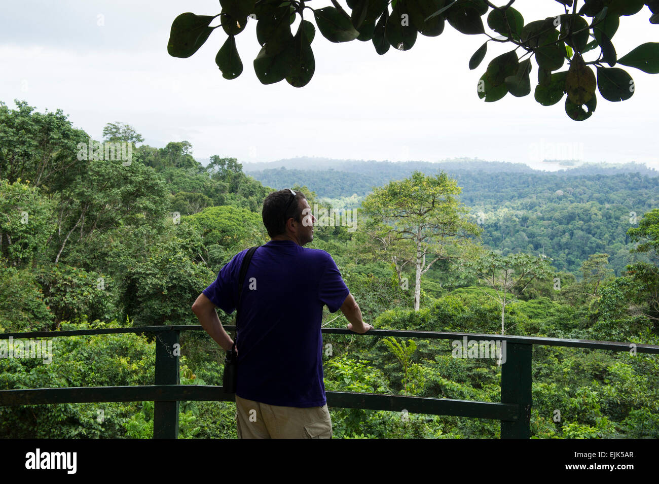 Touristen auf der Suche über Regenwald und Brokopondo Vorratsbehälter, Brownsberg Naturreservat, Suriname Stockfoto